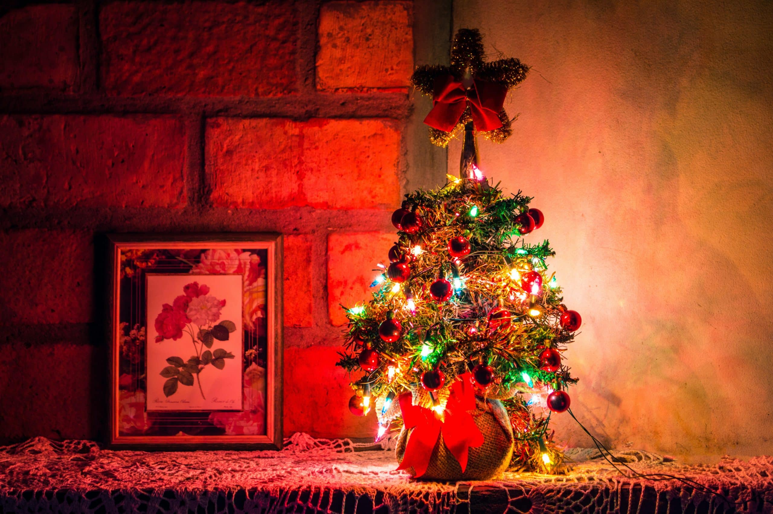 Mehr über den Artikel erfahren Schönes Weihnachtsgeschenk dank Gerda